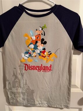 Disney Grey & Navy Raglan Tee with Mickey, Donald, Goofy & Pluto